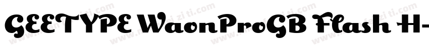 GEETYPE WaonProGB Flash H字体转换